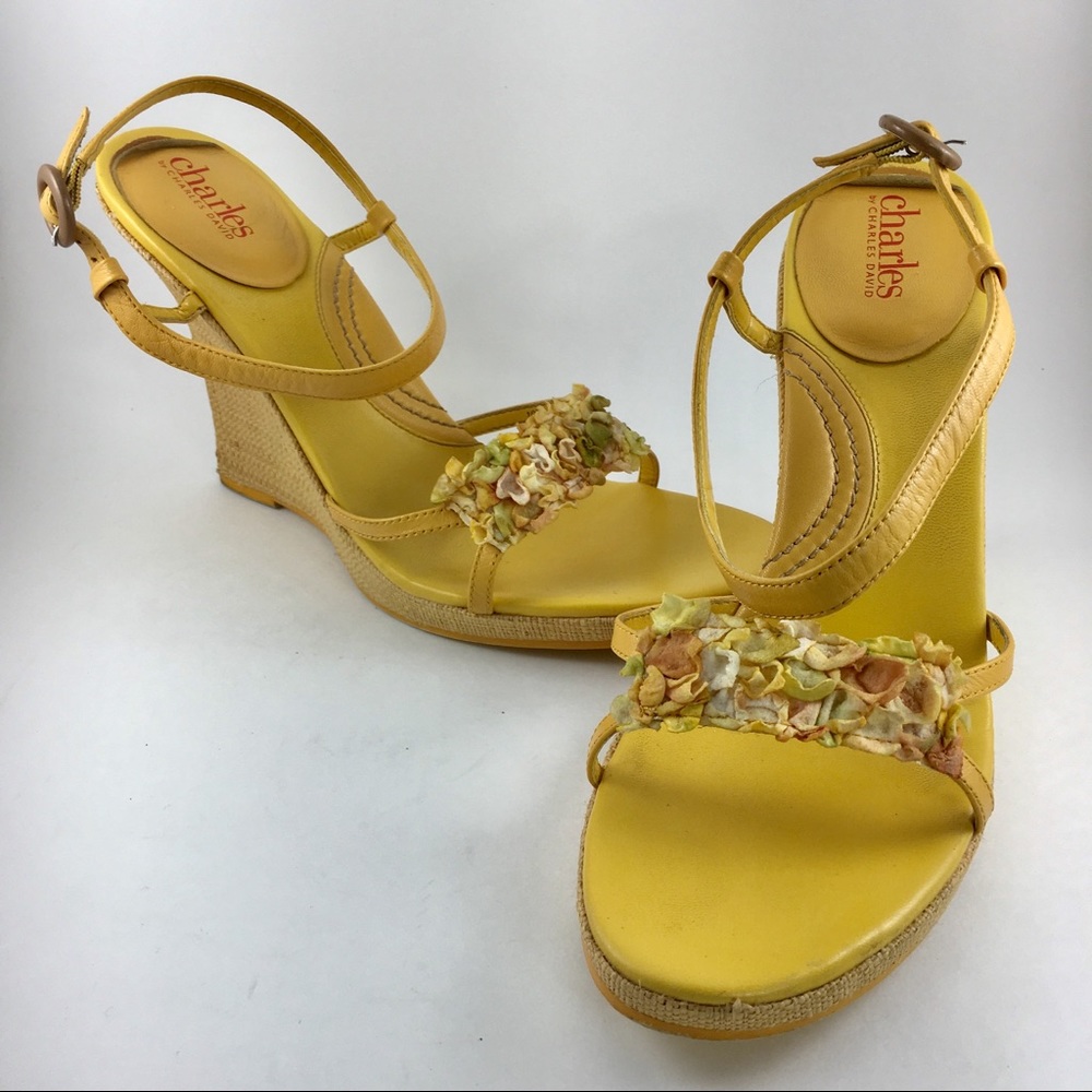 COPY - Charles David “Bustle” Wedge Sandal